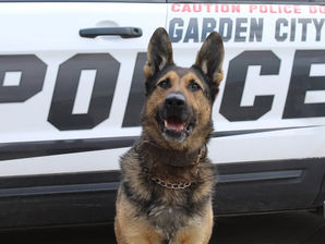 K9 Koda se retira del Departamento de Policía de Garden City