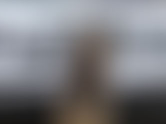 K9 Koda se retira del Departamento de Policía de Garden City