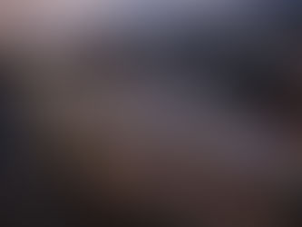 Festivo pero prohibido: La policía de Garden City advierte contra las luces navideñas en los automóviles