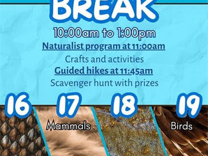 Great Plains Nature Center invita a la comunidad a sus programas gratuitos durante Spring Break