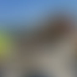 Sedgwick County arranca proyecto de rehabilitación del pavimento en 53 puentes