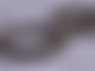 Arrestan a dos personas por ataque armado contra vivienda ocupada en Garden Plain