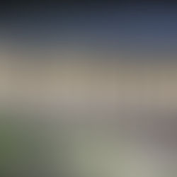 ¿Hay elección de sheriff en tu localidad? Allí se puede definir el grado de cooperación de los funcionarios locales con ICE