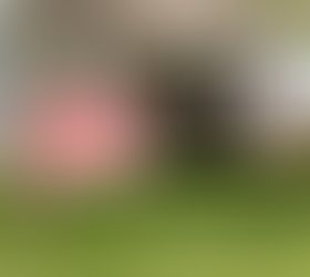 Las afirmaciones engañosas de Vance sobre los precios de la vivienda y la inmigración ilegal