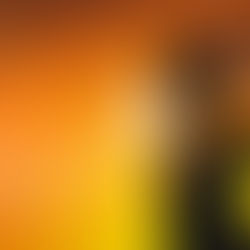 El calor extremo en Kansas es una emergencia de salud pública