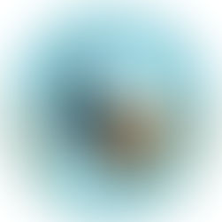 El evaluador del condado de Sedgwick explica el aumento en las valoraciones de propiedades