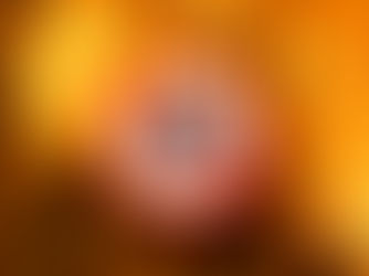 La ciudad de Wichita y 16 condados de Kansas implementan prohibición de quemas durante todo abril