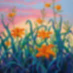 Daylilies