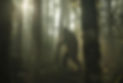 Big foot.jpg