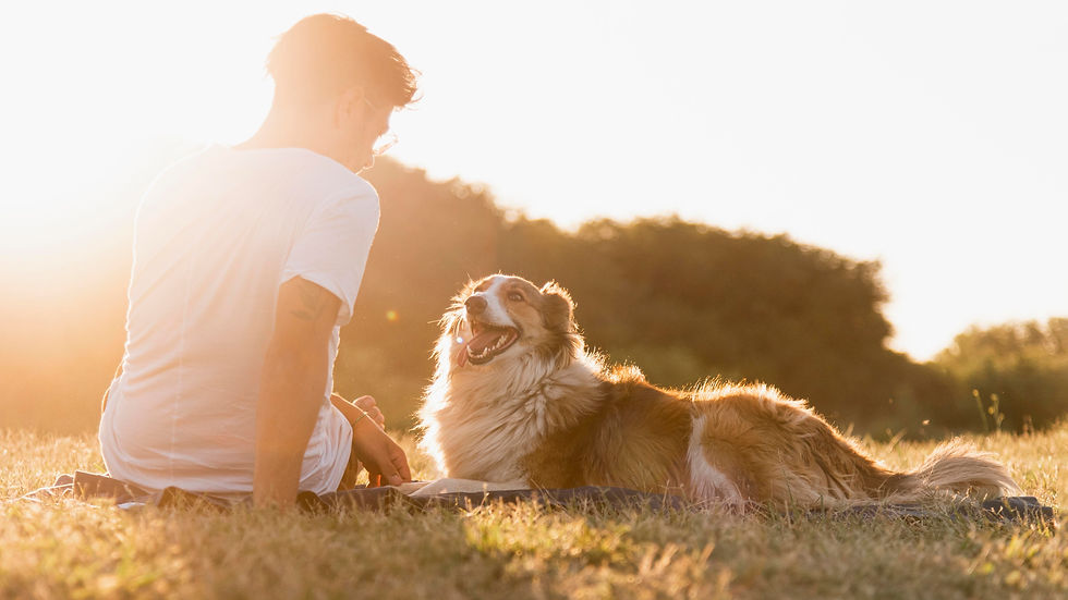 back-view-young-man-with-dog-seaside.jpg