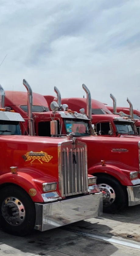 Trailes y transporte terrestre