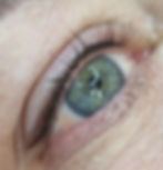 Shaded Liner