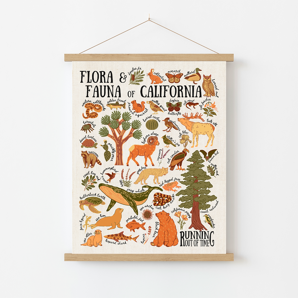 California Flora & Fauna Canvas Poster