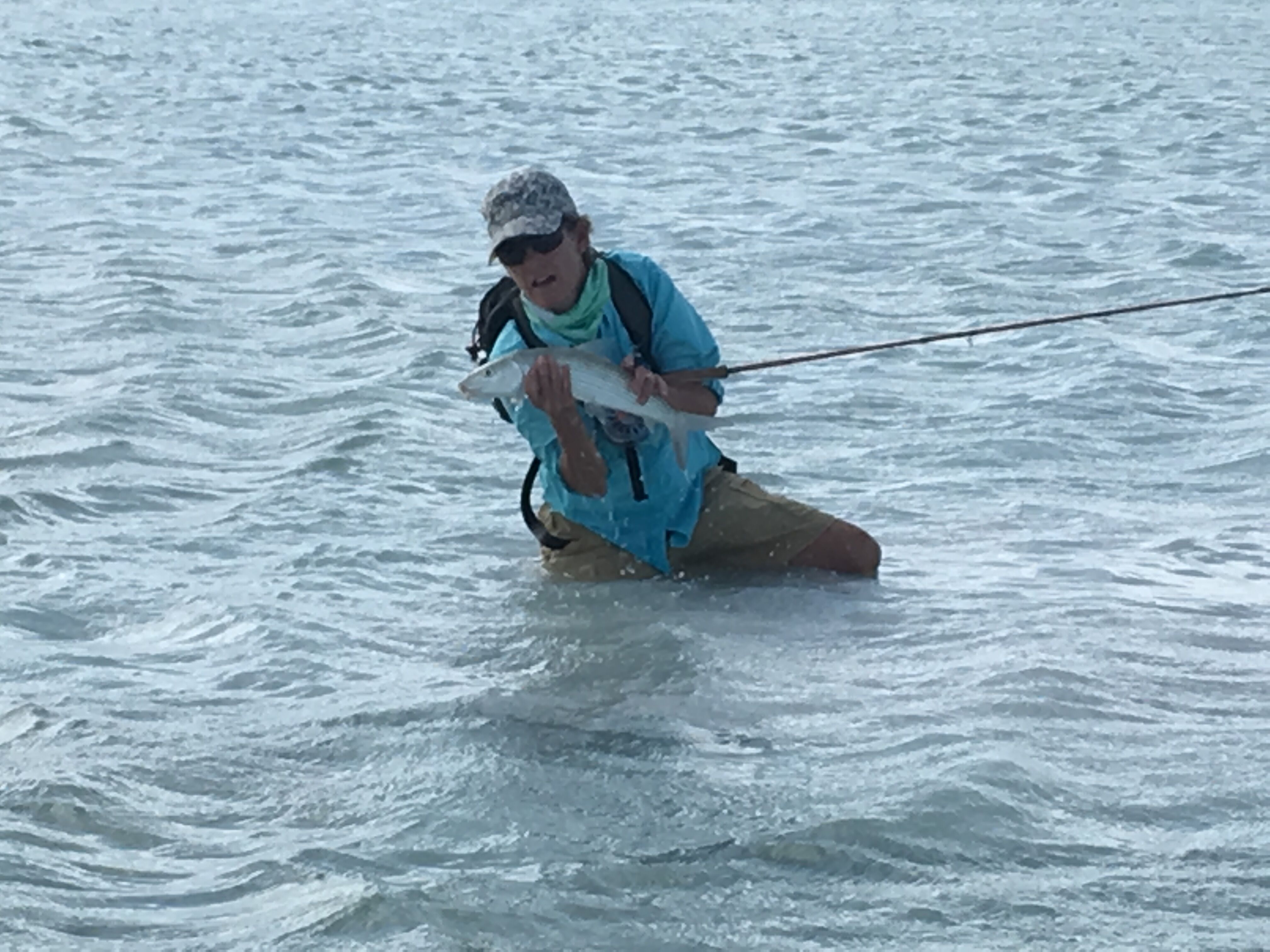 Bahama Bonefish