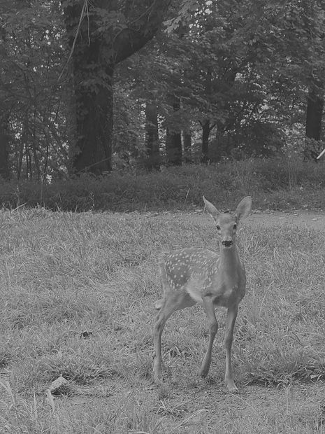 unnamed (22)_edited.jpg