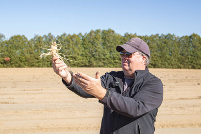 King Lake Farms Ontario Ginseng