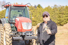 King Lake Farms Ontario Ginseng