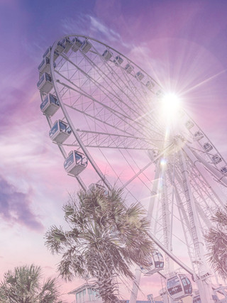 Travel, Landscape & Nature