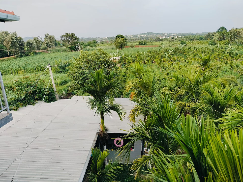 namma_chikamagluru_homestay_ps003_exterior_14 (2)