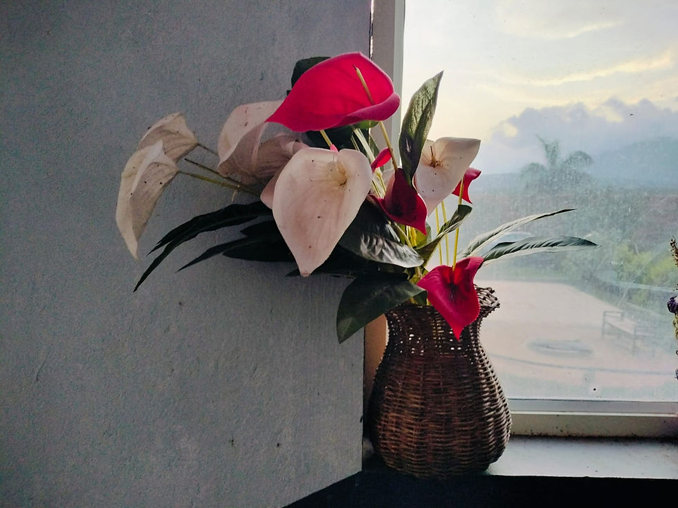 namma_chikamagluru_homestay_ps003_exterior_24