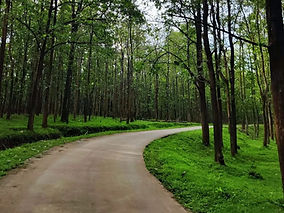 IMG-20240812-WA0036 - Copy.jpg