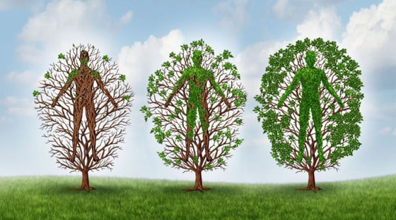 Three Fundamental Leadership Skills