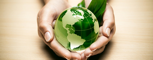 medio-ambiente.jpg