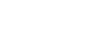 logo_mrwatts_final_white-300x179.webp