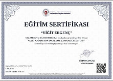 FORENSIC ANIMATION EXAMINER TRAINING.jpg