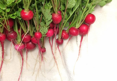 Screenshot 2025-11-05 134149.png