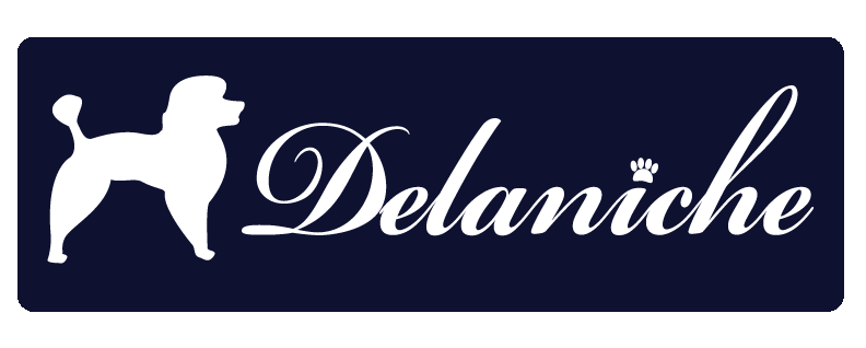 Logo Delaniche