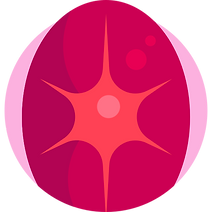 rubin (2).png