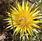 20161212_142815.jpg