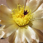 IMG_0909_edited.jpg