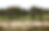background.png