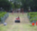 Klenk-Family-Vineyards_harvest.jpg
