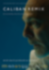 CR - Awards Poster - 7 laurels-1.png