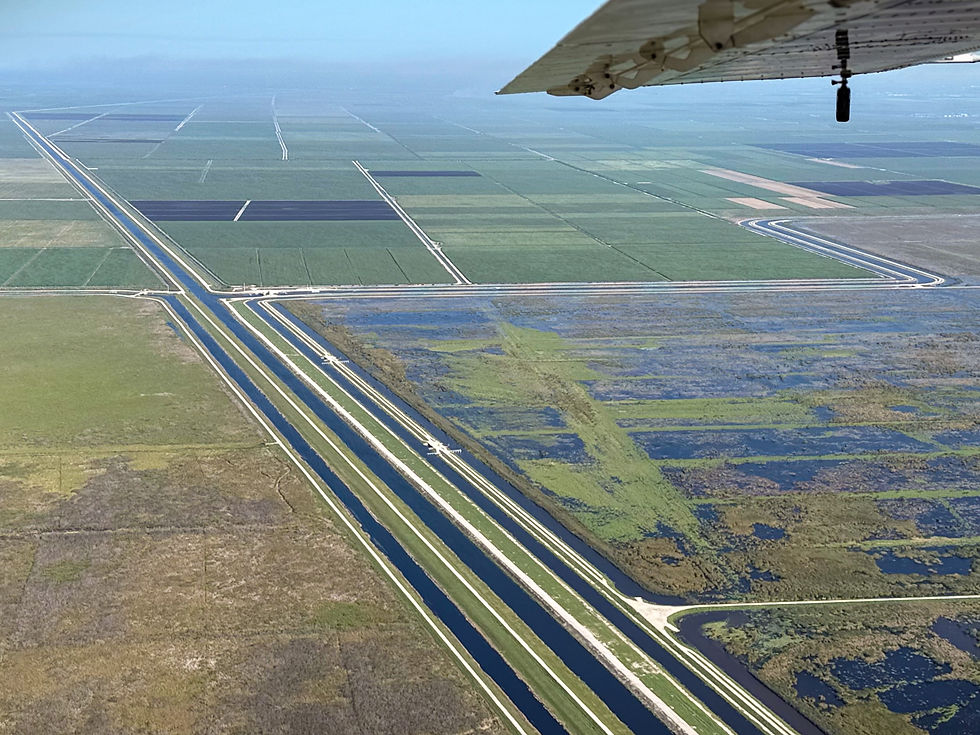Aerial view of Stormwater Treatment Area adjacent to the under construction EAA Reservoir. Photo: The Everglades Foundation