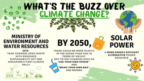The Buzz over Climate Change: Help! My House Is Sinking!