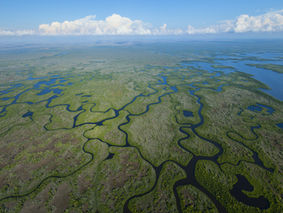 The Everglades