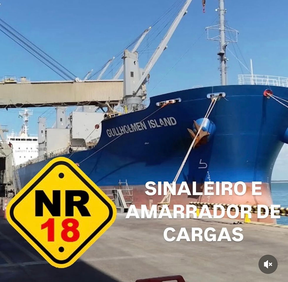 NR 18 - Sinaleiro e Amarrador de Cargas - TMIB / PORTO DE SERGIPE