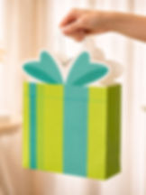 gift bag giftbox unique birthday
