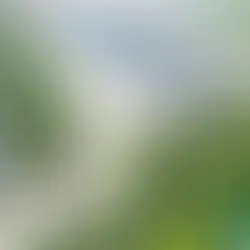 SIP - Ông trùm ẩn mình