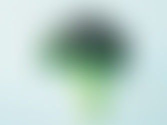 Broccoli, Sulforaphane, and Immune Resilience