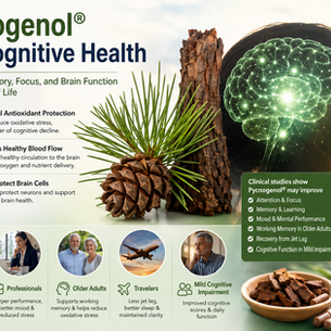 Pycnogenol® and Cognitive Health: Can It Help Support Memory, Focus, and Brain Function?