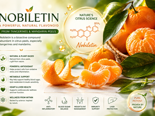 川陈皮素（Nobiletin）与代谢健康
