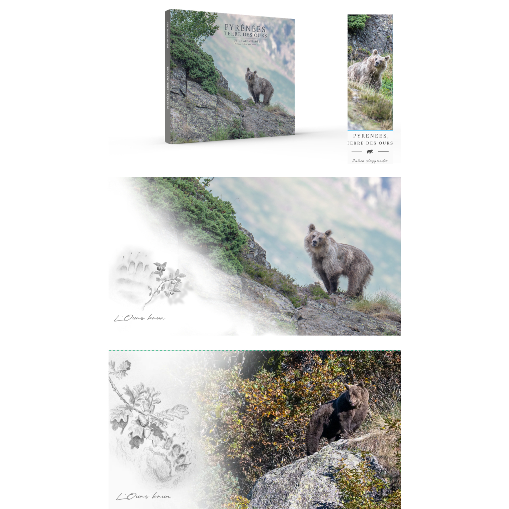 LIVRE PYRENEES,TERRE DES OURS + 2 Cartes postales + marque page offert