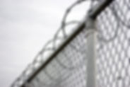 barbed wire.jpeg
