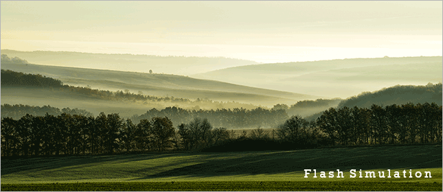 Brief bursts of light in your vision, often described as lightning streaks, usually caused by the retina being tugged or stimulated.