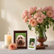 Unseen Companions: Navigating Grief through the Unspoken Bond with Animals